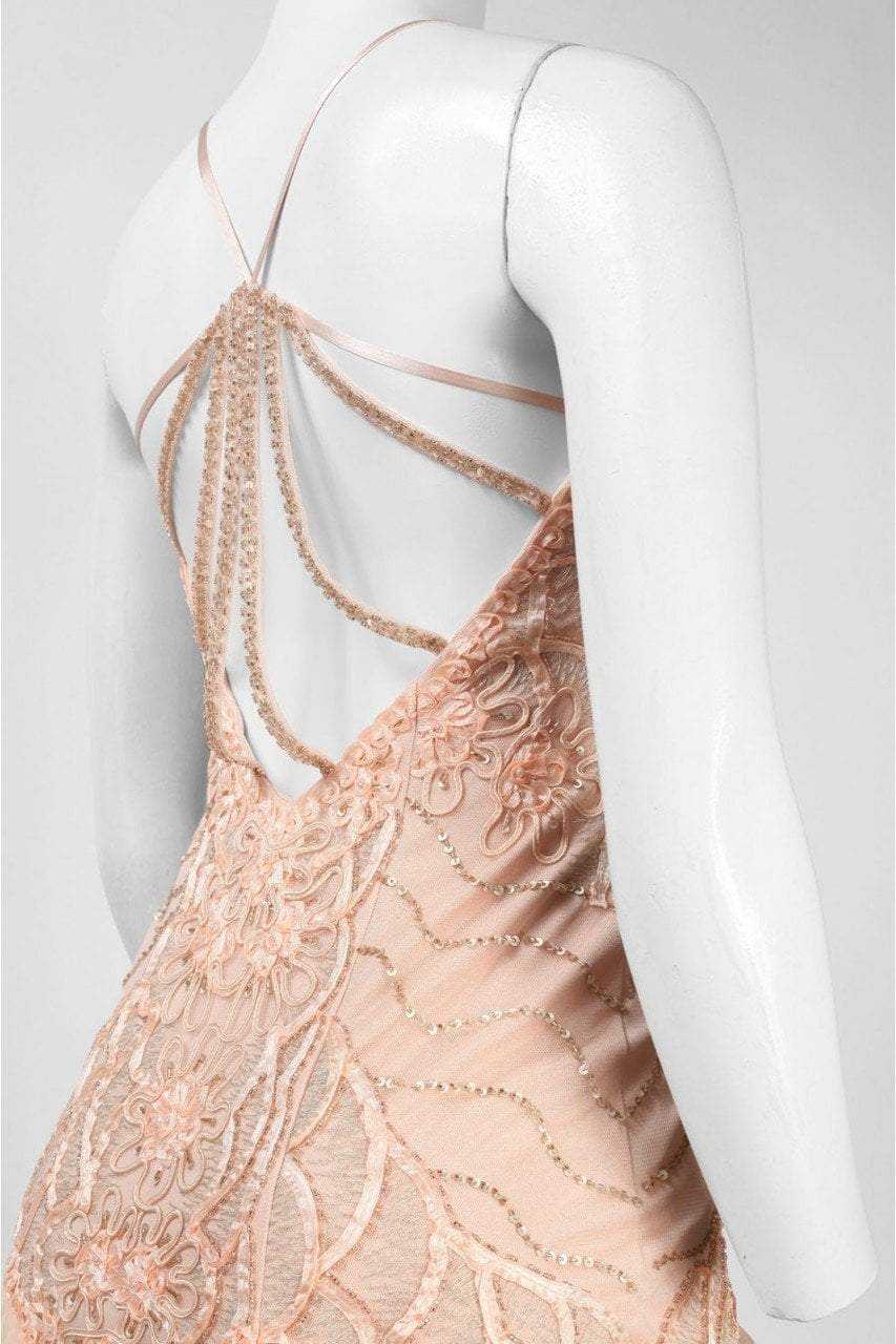 Sue Wong, Sue Wong R5130 Appliqued Fan Organza Gown - 1 pc Peach In Size 6 Available